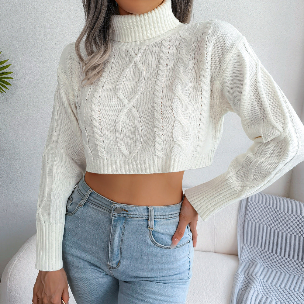 Cozy Chic Knit Sweater