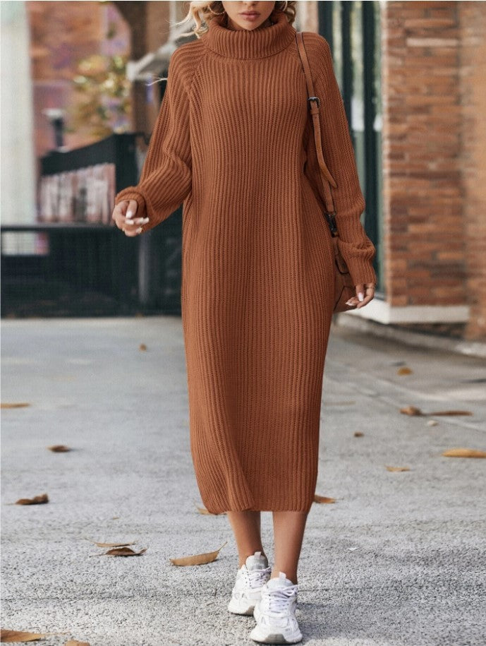 Cozy Turtleneck Sweater Dress