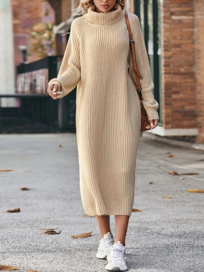 Cozy Turtleneck Sweater Dress