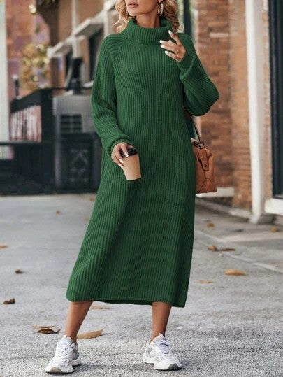 Cozy Turtleneck Sweater Dress