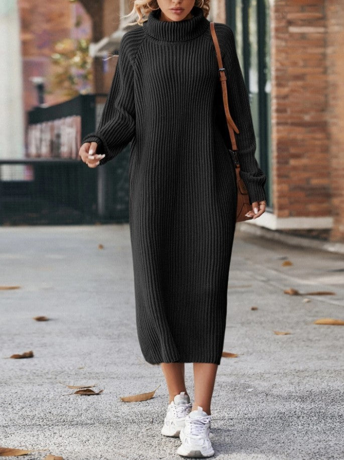 Cozy Turtleneck Sweater Dress